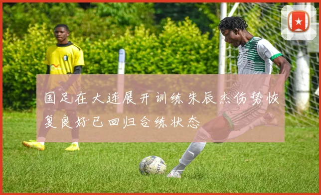 国足在大连展开训练朱辰杰伤势恢复良好已回归合练状态